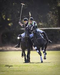 2017 MENLO POLO CLUB