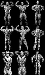 Explore collection 'ronnie coleman wallpapers hd' and download any of this beautiful desktop background pictures for your device for free. Ronnie Coleman Wallpaper Download To Your Mobile From Phoneky