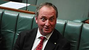 Barnaby Joyce may be a Kiwi