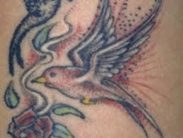On saturday i wake up and there are little red bumps. Tattoo Associated Skin Reactions Dermnet Nz