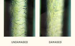 How To Tell If Your Hair Is Damaged At Length By Prose Hair