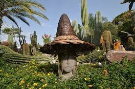 Scoperta pianta unica al mondo. Giardino Di Piante Grasse Uniche Al Mondo Recensioni Su Giardini Ravino Forio Tripadvisor