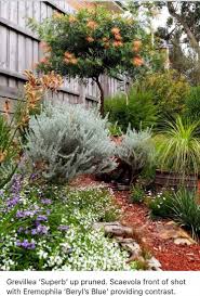 Landscape Architecture Design Portfolio Examples Australian Native Garden Australian Garden Design Native Garden