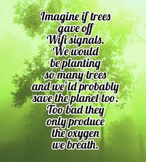 Sentences with «tree plantations» (usage examples): 100 Great Save Trees Slogans Quotes And Posters