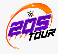 Large collections of hd transparent wwe logo png images for free download. Transparent Live Logo Png Wwe 205 Live Logo Png Png Download Transparent Png Image Pngitem