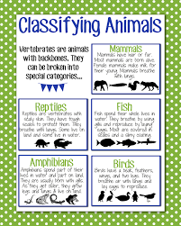 Magic Markers Science Anchor Charts First Grade Science Classifying Animals