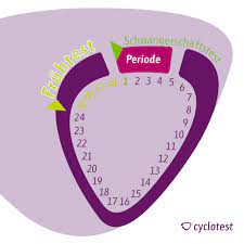 Wann wäre ein ss test möglich? á… Schwangerschaftstest Ab Wann Moglich Cyclotest