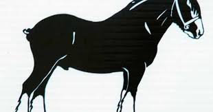 Clydesdale Shire Decal Horse Wall Art Horses Horse Drawings