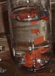 We post a link to a story and tell them to draw or write. Pin On Kid Things