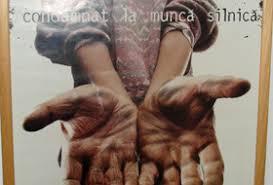 Sunt Copil Deci Muncesc Documentare Radio Romania Actualităţi Online