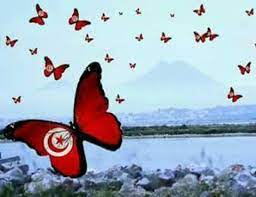 Pin En Aʟաaʏs ɦɮɮ