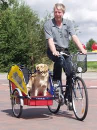 Www Specialbikes At Tandems Dog Spacer Fahrrad