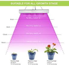 We did not find results for: Led Grow Light Shengsite 75w Plant Grow Lights For Indoor House Plants Full Spectrum Growing Lamp For Hydroponics Greenhouses Grow Tent Plant Factory Flower Vegetable Pricepulse