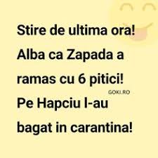 Cel mai tare banc cu bula si strula! 270 Bancuri Haioase Si Amuzante Ideas Funny Humor Memes
