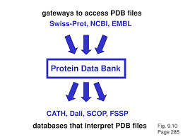 It is used for structures in the protein data bank and is read and written by many programs. Ppt The Protein Data Bank Pdb Powerpoint Presentation Free Download Id 3353186