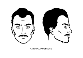 26 Best Mustache Styles For Men You Should Try At Least Once