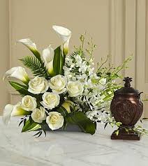 Willie Olds Obituary (1939