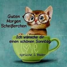 Schonen Sonntag Bilder Jappy 75 Gbpicsbilder Com Guten Morgen Sonntag Guten Morgen Guten Morgen Lustig