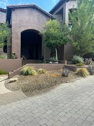 Image result for Sporobolus mildbraedii