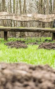 Comment Lutter Contre Les Taupes Au Jardin Jardins Taupe Et Ecosysteme