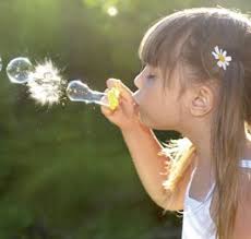 Gary Chapman és Catherine Palmer: regénysorozat a házasság négy évszakáról 