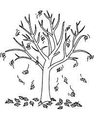 Fall color is yellow green in the north, yellow to reddish purple in the south. Autumn Tree Coloring Page 1001coloring Com