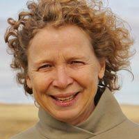 Anne Laurel Carter's Moving Picture Book What the Kite Saw was Inspired by  Children She Met in the West Bank