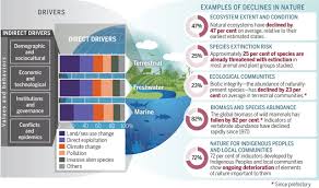 Jouer les taxis pour étudiant, au volant de voitures de collection. Pervasive Human Driven Decline Of Life On Earth Points To The Need For Transformative Change Science