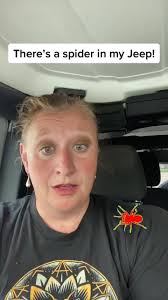 Ormand Beach Jeep Fire