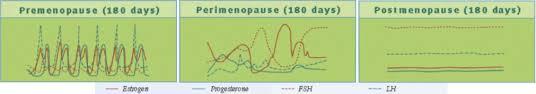 Menopause is your final menstrual period, but how do you know when your last period has occurred? Die Wechseljahre Xbyx