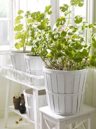 Plant Pots Plants Plant Pots Ikea Ikea Plants Plant Stand Ikea