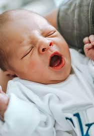 The Boyz gazing in wonder of the new kid. Fighting over pics with him. 😅