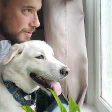 About Triple C Pro Window Cleaning & Power Washing