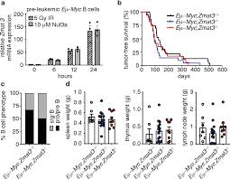 The cancer council victoria provided seed funding and funding for future milestones is still being sought. Consequences Of Zmat3 Loss In C Myc And Mutant Kras Driven Tumorigenesis Cell Death Disease