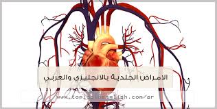 الجهاز الدوري الدموي