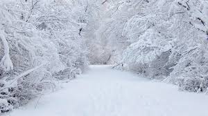 Affordable and search from millions of royalty free images, photos and vectors. Photos Winter Nature Seasons