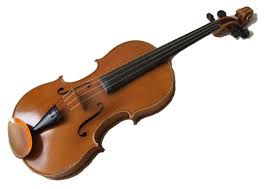 Resultat d'imatges de viola