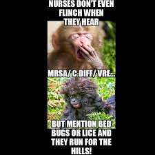 What about bed bugs and mrsa? Bed Bug Meme Nurse