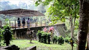Opening at 7:30 am tomorrow. Trip Taman Pertanian Bukit Cahaya Seri Alam Youtube