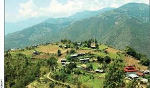 Image result for Summerhayesia