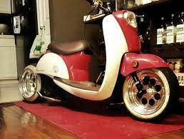 660 Rukus Ideas Honda Ruckus Scooter Mini Bike