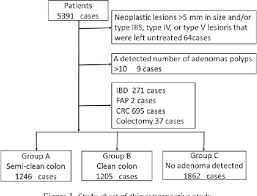 Figure 3 From The Concept Of Semi Clean Colon Using The