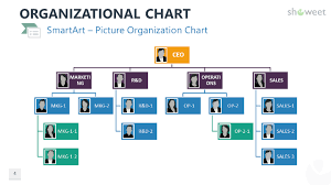 Organizational Charts For Powerpoint Organizational Chart