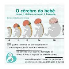 Quatro Semanas Apos A Fecundacao O Embriao Tem Apenas Quatro Milimetros Mas Ja Possui Um Sistema Nervoso Com Tre Maes De Primeira Viagem Embriao Dicas De Bebe