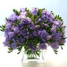 The election will be in the spring. Fresia Flower Bouquets In Lyon Fresia Royal