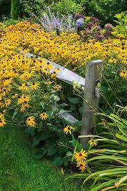 If you want to protect your home more, you can cover the gaps in your split rail fence with mesh. Beautiful Rustic Aged Split Rail Fence With Narrowed Rails Leading Through A Landscaping Ideas Rustic Landscaping Fence Landscaping Country Landscaping