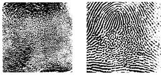 Résultat de recherche d'images pour "fingerprint types"