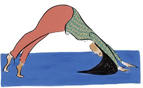 Mollie Doyle, Author at Bluedot Living