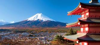 Places To Visit In Japan For Animal Lovers Japan Honeymoon Day Trips From Tokyo Japan Travel