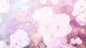 Sadece gov.tr, edu.tr, tsk.tr, k12.tr, av.tr, dr.tr, bel.tr, pol.tr, kep.tr uzantıları için başvuru alınmaktadır. White Rose Meaning Symbolism And Spiritual Meaning Auntyflo Com